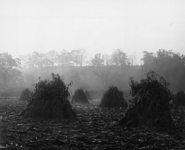 Corn shocks stand in a foggy field and trees cover a rise in the background.