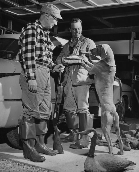 Two men are standing  in a garage and are dressed in hunting gear. One man is holding a gun, and the other man is holding a duck decoy. Their hunting dog is standing on his hind legs sniffing the decoy. More decoys are on the floor. Behind them is an automobile.