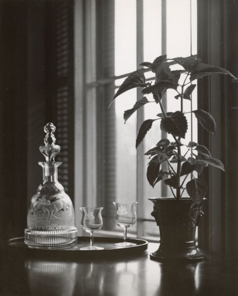 Still life arrangement with a Coleus plant, a decanter and two pieces of stemware in front of a window. Taken in the Lincoln-Tallman House.