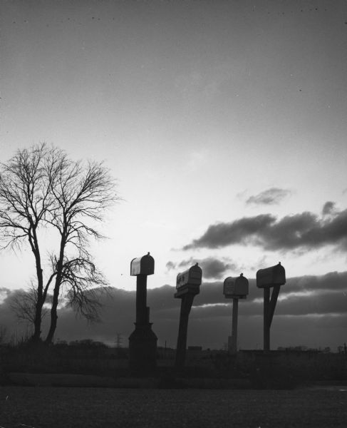 Four mailboxes and a tree are silhouetted against the sky with low clouds on South River Road.