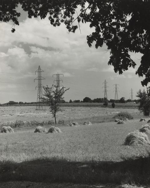 A line of high-voltage towers march across fields of oats and barley into the distance.