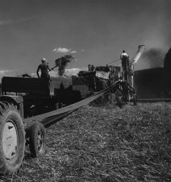 Paul Lembcke and his son Roy threshing grain on their farm at harvest time.