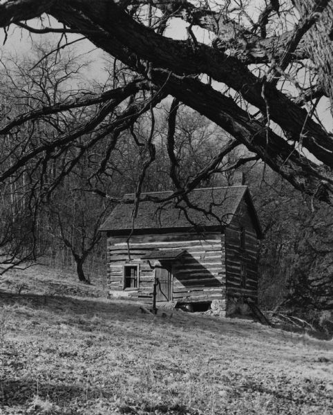 A former homestead in the autumn, framed by leafless trees. The cabin is constructed of squared logs with interlocking double-notch joints, chinked with a light-colored material. A hand pump is standing in front.