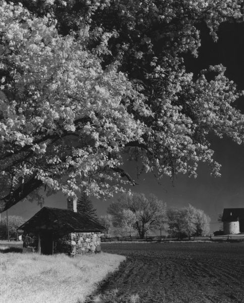 Small stone structure next to a field, with a flowering tree in the foreground. Trees, a fence, farm buildings and a silo are in the background.