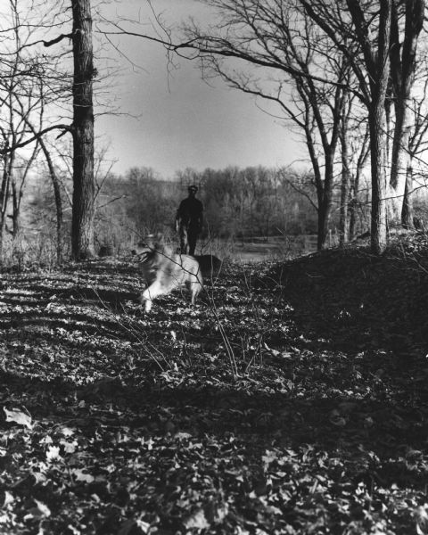 A man is running his dog on a trail in an old lead mining area. The trees are bare and fallen leaves are covering the ground.
