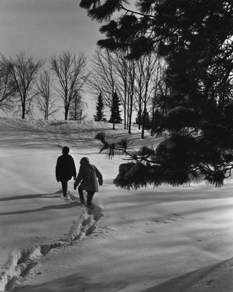 Two children breaking a trail through new snow at a park. Trees are in the background and on the right.