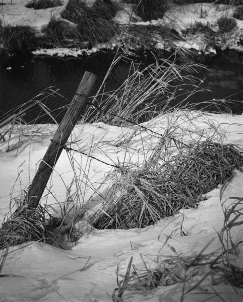 Dried grass is caught in a barb wire fence that is leaning over near a small creek. Snow is on the ground.