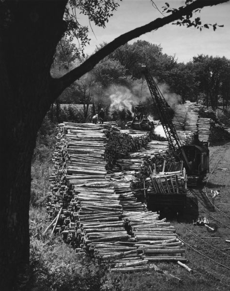 Elevated view of newspaper pulp wood stacked along the Fox River near the Combined Locks Paper Company. A crane is moving the logs, and workers are standing of top of the log pile. Railroad tracks are on the right.