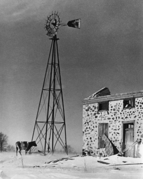 Deserted farmstead with a cow standing in the snow at the base of a windmill. The wooden portions of the stone farmhouse are deteriorating, and many pieces have fallen to the ground.