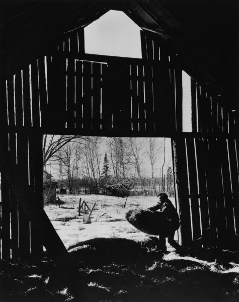 View from inside a barn towards a farmer moving hay bales by hand out of the wide door. Snow is on the ground, and trees, buildings, a fence are in the background.