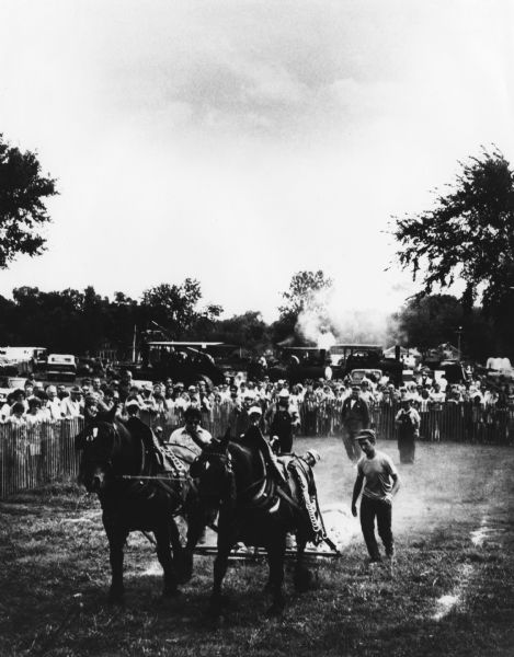 A crowd behind a fence is watching as two horses drag a load on the ground in a horse pulling contest. In the background are antique steam tractors, buildings, trees and vehicles.