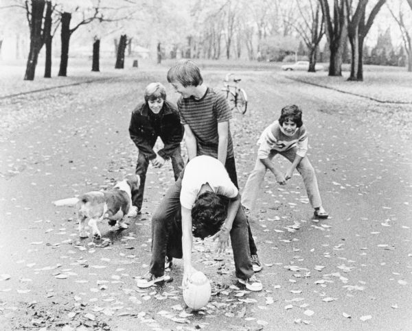 A Basset Hound is joining a game of football with three boys playing in a street. The center is about to snap the ball to the quarterback. Leaves cover the ground, and trees and a bicycle are in the background.