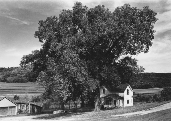 A farmstead under a large tree, with fields and wooded hills in the background.