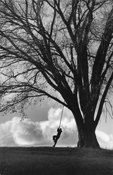 Silhouette of a young boy playing on a tree swing on a hill.