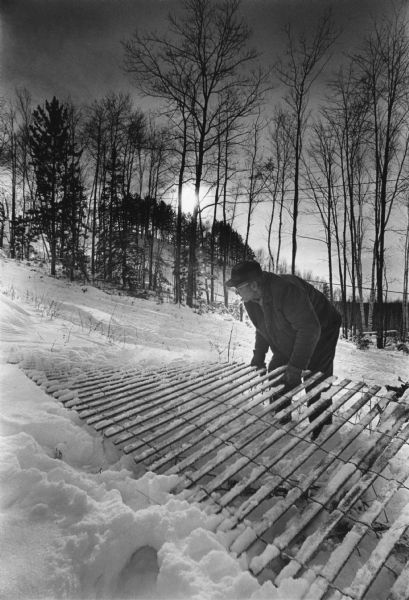 A man is lifting a snow fence in ankle deep snow. In the background is a tree covered hill.