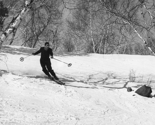 A skier makes a turn coming down a hill on the University campus. In the background are Birch trees.