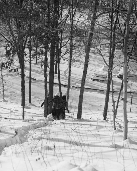 View looking down hill towards people walking through trees in deep snow towards a picnic area below at Kettle Moraine State park.