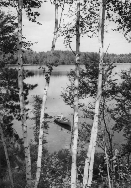 Elevated view of a man fishing in a rowboat seen through a stand of Birch trees on Miles Lake.