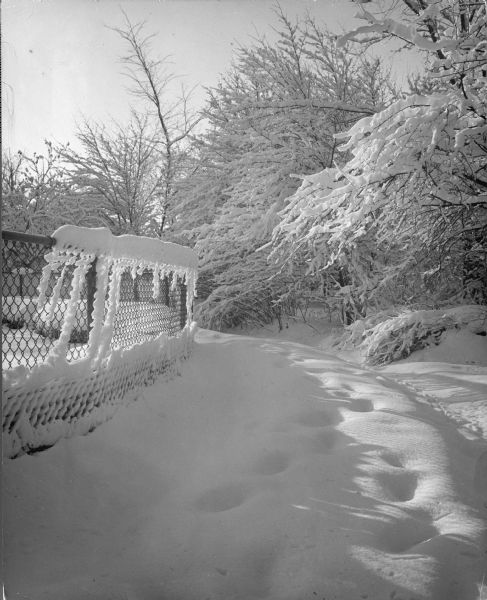 New fallen snow on a bank between a chain-link fence and trees in McGovern Park.