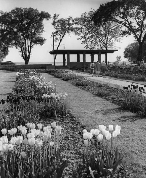 Olbrich Gardens viewed through the tulip garden towards Lake Monona. Two women and a man are walking on the sidewalk towards an open structure.