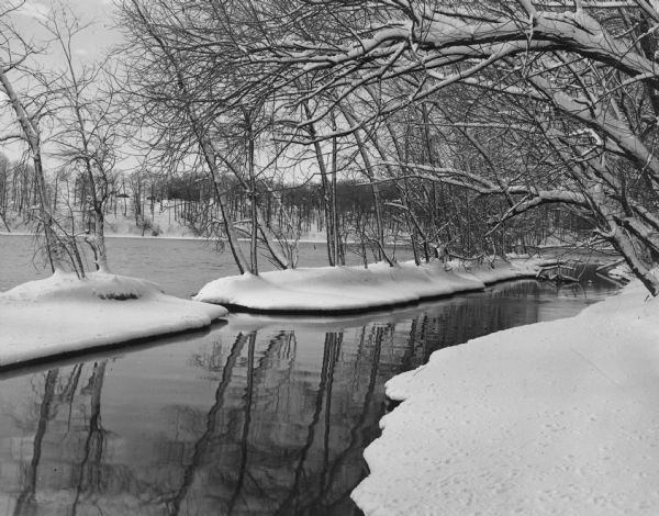 Fresh snow on the wooded banks of the Fox River.