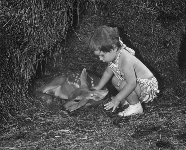 A young girl petting a fawn in an area surrounded by hay. She is wearing a sun suit.
