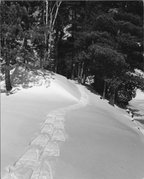 Snowshoe tracks crossing a fresh snowfall in Pattison State Park. The tracks disappear around a curve into the trees.
