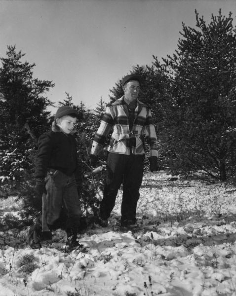 A man and a boy are dragging the Christmas tree they just cut down through the snow. The boy is carrying the ax. They are dressed warmly and the man is wearing a plaid coat.