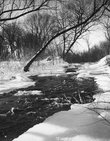 The Crystal River running between icy banks lined with trees.