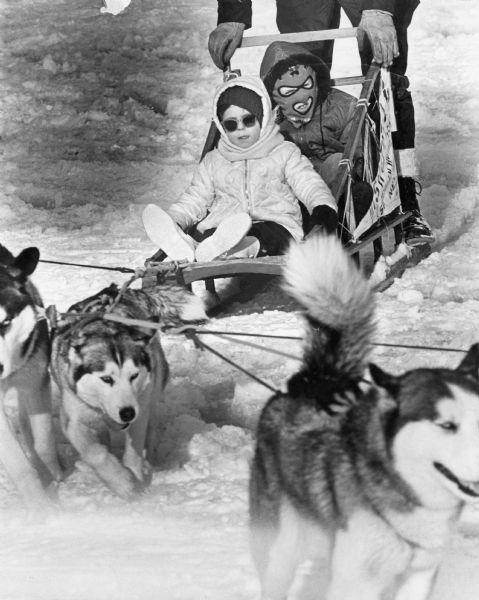 Two children riding in a dog sled driven by an adult standing in the back. Three dogs are pulling the sled. The child in front is wearing sunglasses, and the child in back is wearing a balaclava.