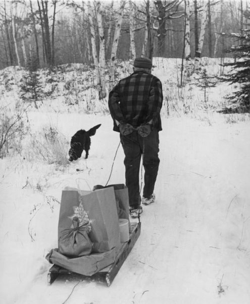 Elderly man pulling a sled loaded with packages and bags. He is wearing a plaid coat. His dog is sniffing the snow. Trees cover a snow covered berm in the background.