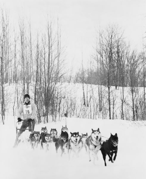 A musher on a dogsled with 10 dogs pulling in tandem. This is a race because he is wearing a number. Low hills with trees are in the background.