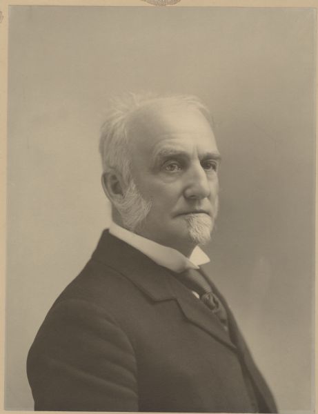 Quarter-length portrait of Lucius Fairchild, 10th governor of Wisconsin.