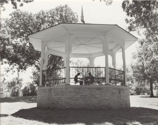 Two people sit at a table in a gazebo in Orton Park. Houses in the neighborhood surrounding the park stand in the background behind the blooming trees. 