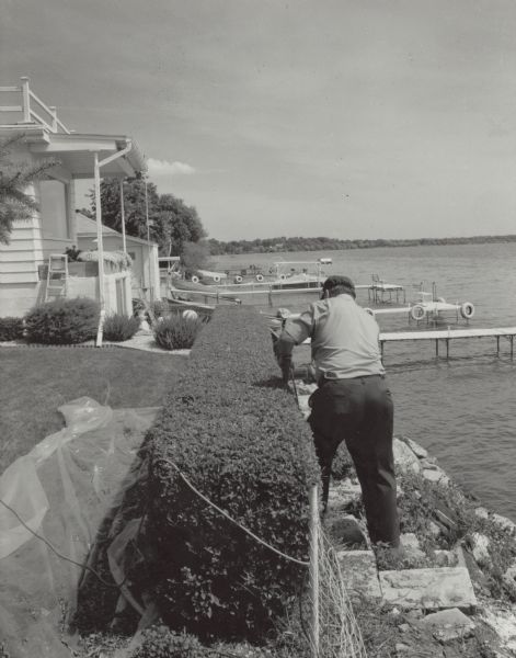 A man, identified as Edgar Hornung, trims a hedge along a chain link fence. He stands on rocks at the top of the steep shoreline with his back to the camera. The back of a house is on the left, and piers extend from the shoreline on the right.