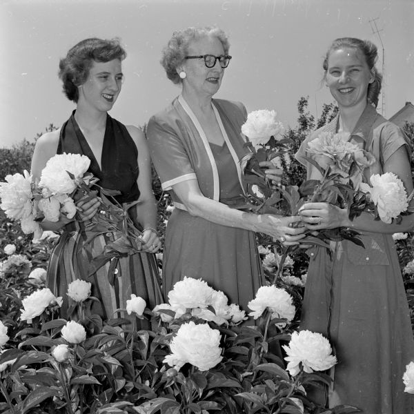 Group of three women selling peonies. They are (L-R): Jean Monroe; Mrs. J.A. Ragone, chaperone at the Alpha Gamma Delta sorority house; and Alice Aten. The project raised funds to aid children afflicted with cerebral palsy. The peonies were all grown on Verona road next to Emilie Wiedenbeck's gift shop, "Christopher House." Alpha Gamma Delta sorority ran the sale.