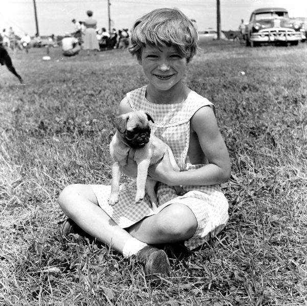 A contestant in the Badger Kennel Dog Show is a midget bulldog held by owner Barbara Allen, age 7, of Sterling, Illinois.