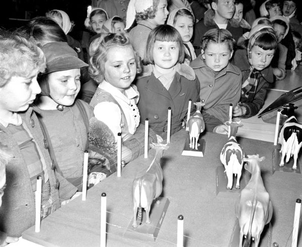 School children from the Madison area are among the first visitors at the opening of the $100,000 Dairy Caravan at the State Capitol. Students from Waunakee are shown at one exhibit identifying various models of cows. Shown, left to right are: Faith Dorman, Patty Plew, Sherry Dunbar, and Karen Cox.
