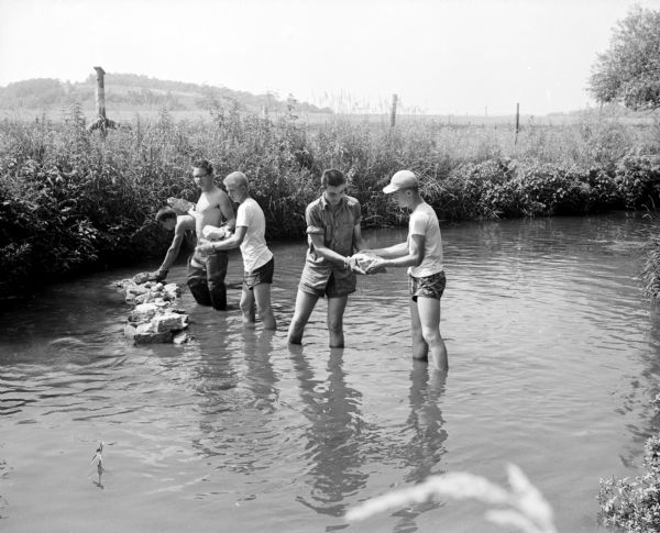 Five teen boys stand ankle deep in Black Earth Creek (west of Cross Plains) while working together to build a conversion dam in the creek bed. The boys are from West and East High Schools of Madison and are taking a five-week outdoor science course under the direction of the Wisconsin Conservation Department. They are, left to right: David Thompson, John Korrison, Jim Olson, Tim Barrett, and Byron Johnson.