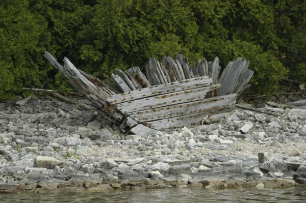 Part of the wrecked bow of the steamer <i>Louisiana</i> sitting on a rocky beach near Washington Harbor. Green trees or shrubs are along the shoreline in the background, highlighting the wood of the ship.