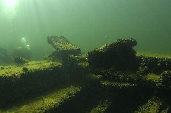 Underwater view of algae and mussels living on the engine mount of the sunken <i>Louisiana</i>. To the left, an underwater archeologist is surveying the site.