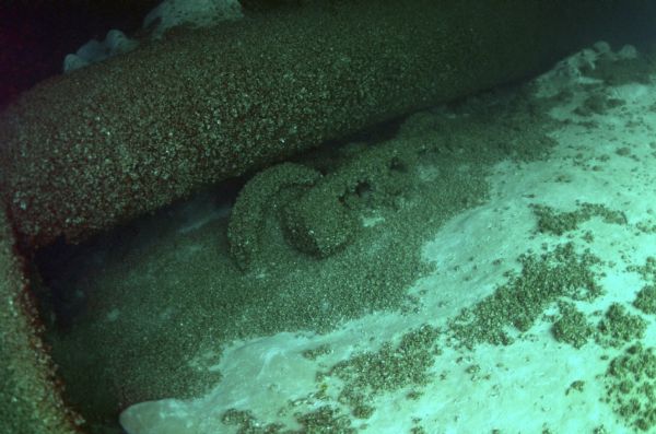 Underwater view of an automobile that had been part of the cargo carried on the <i>Milwaukee</i> when it was lost, on the floor of Lake Michigan. The car is sitting under part of the wreck of the <i>Milwaukee</i>, and both are covered in algae and mussels.