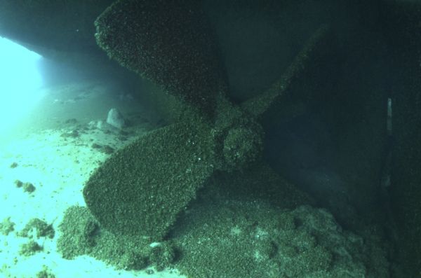 Underwater view of the port side propeller of the <i>Milwaukee</i>. The propeller is intact partially wedged into the floor of Lake Michigan.