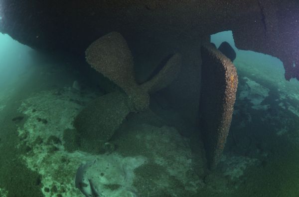 Underwater view of the prop rudder and the port side propeller of the <i>Milwaukee</i>. The ship remains largely intact and upright, with both the propeller and rudder wedged into the lake floor.