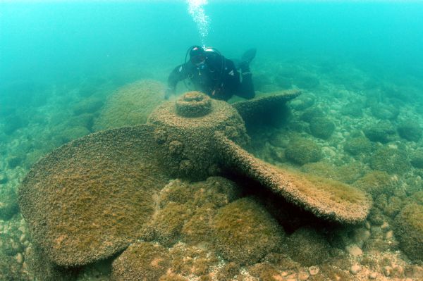 Underwater view of a propeller located off of the <i>Appomattox</i> wreck site, near Shorewood, in Lake Michigan. The diver is Kimm Stabelfeldt.