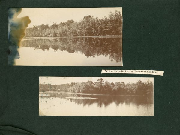 An album page with two photographs of a row of willow trees reflected in the mill pond (Montello Lake) behind the residence of E.W. Underwood. In the lower photograph, the belvidere of the Underwood house, known as Oakwood, is visible just to the right of the tall tree in the center. A small shed and lily pads are on the left.