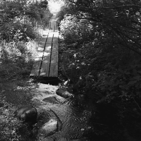 View across rocks in a stream towards a board pathway that vanishes into the distance. Oak savanna in late summer.