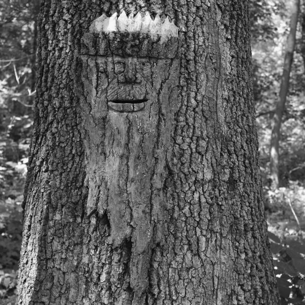Sculpture carved on bark of an oak tree of a bearded man by local artist Peter Dove, who titled it "Hombre Verde." The tree and carving sit in the Natural Path Sanctuary, a section of the Farley nature preserve reserved for natural burials.