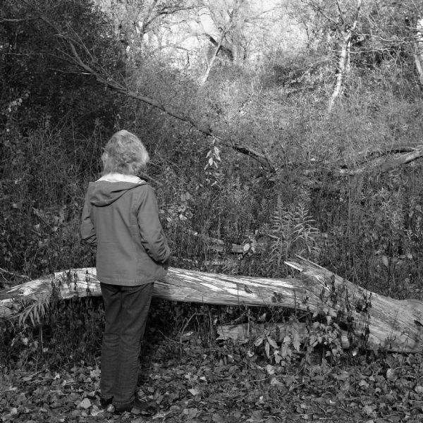 View towards a woman standing near a fallen tree with her back to the viewer. She is wearing a light jacket and jeans. There is a partially fallen tree and overgrown brush and grass in the background. The ground is covered with fallen leaves.