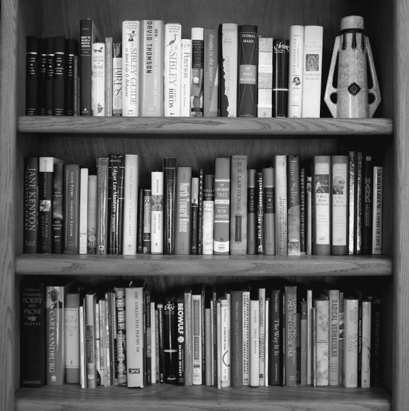 View of a bookshelf, with books on various subjects on display, from Beowulf to birds. On the top shelf on the right is a decorative vase or sculpture.